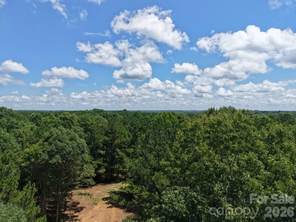 0 Montgomery Road Blackstock, SC 29014