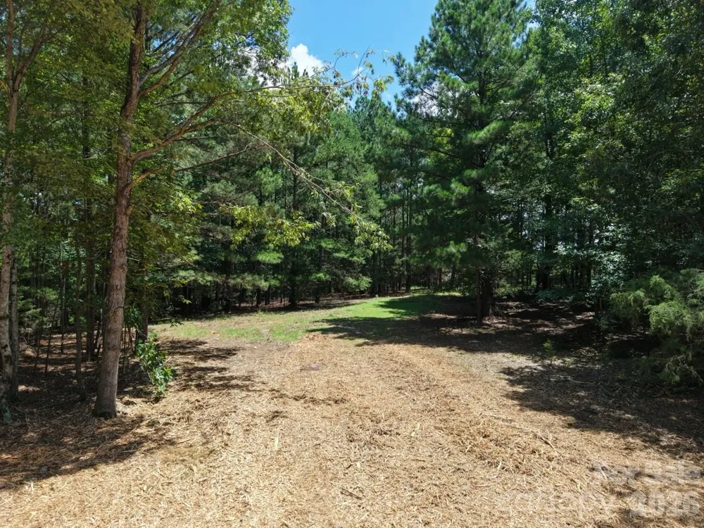 0 Montgomery Road Blackstock, SC 29014