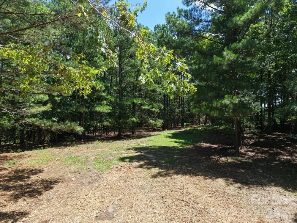 0 Montgomery Road Blackstock, SC 29014