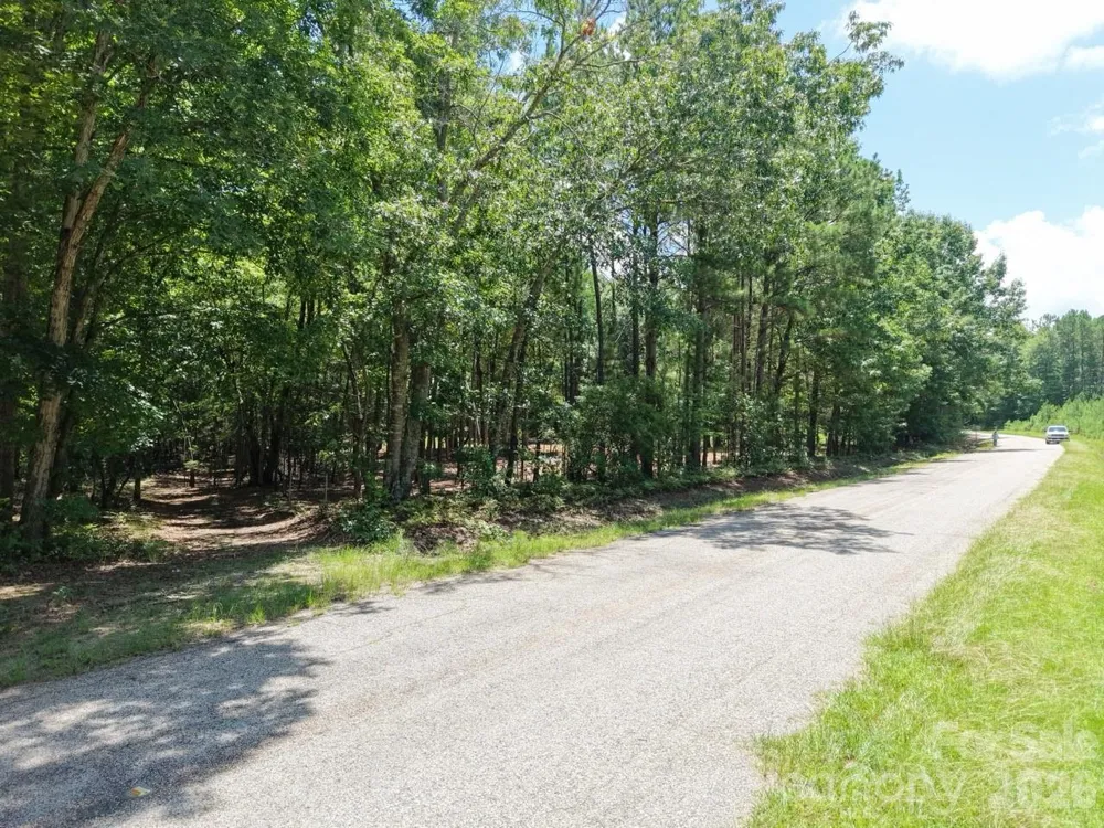0 Montgomery Road Blackstock, SC 29014