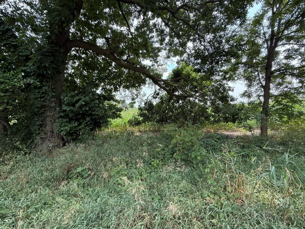 Cobb Road Delton, MI 49046