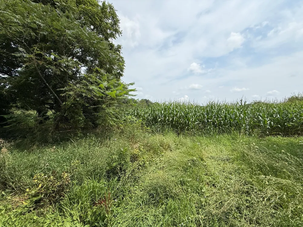 Cobb Road Delton, MI 49046