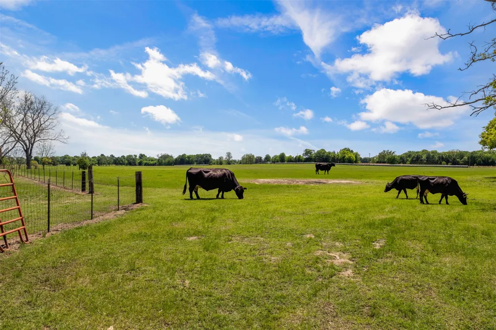 Vz County Road 3208 Wills Point, TX 75169