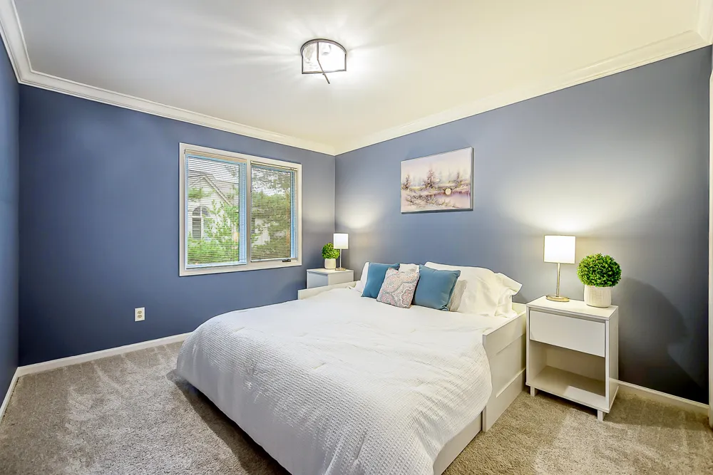 239 Saint Lawrence Boulevard Northville City, MI 48168