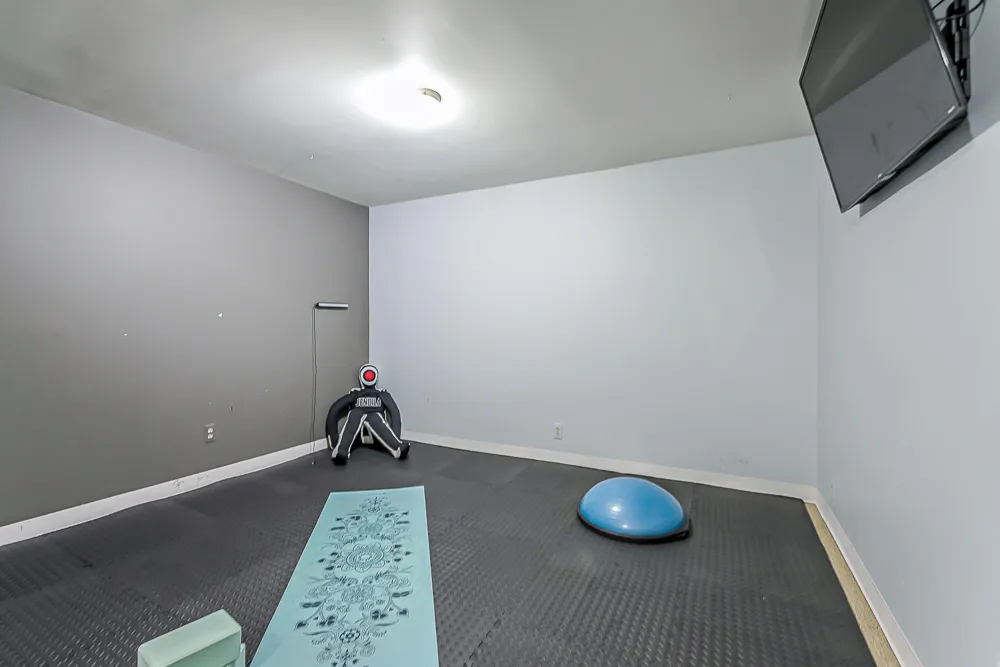 239 Saint Lawrence Boulevard Northville City, MI 48168