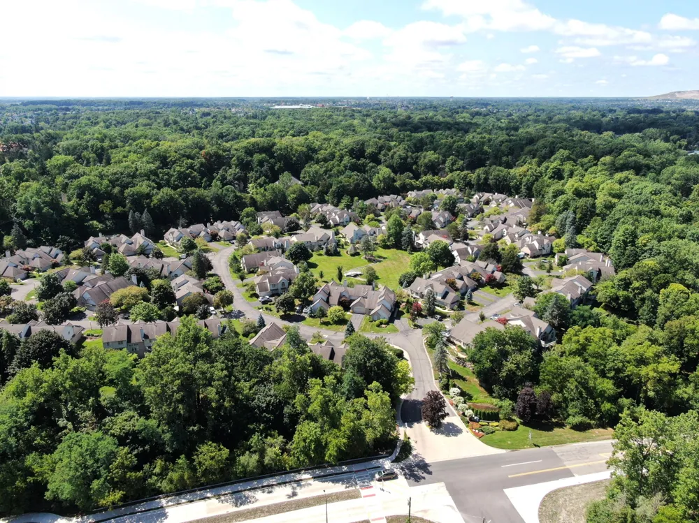 239 Saint Lawrence Boulevard Northville City, MI 48168