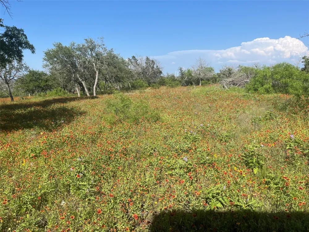 24 County Road 510 Goldthwaite, TX 76844