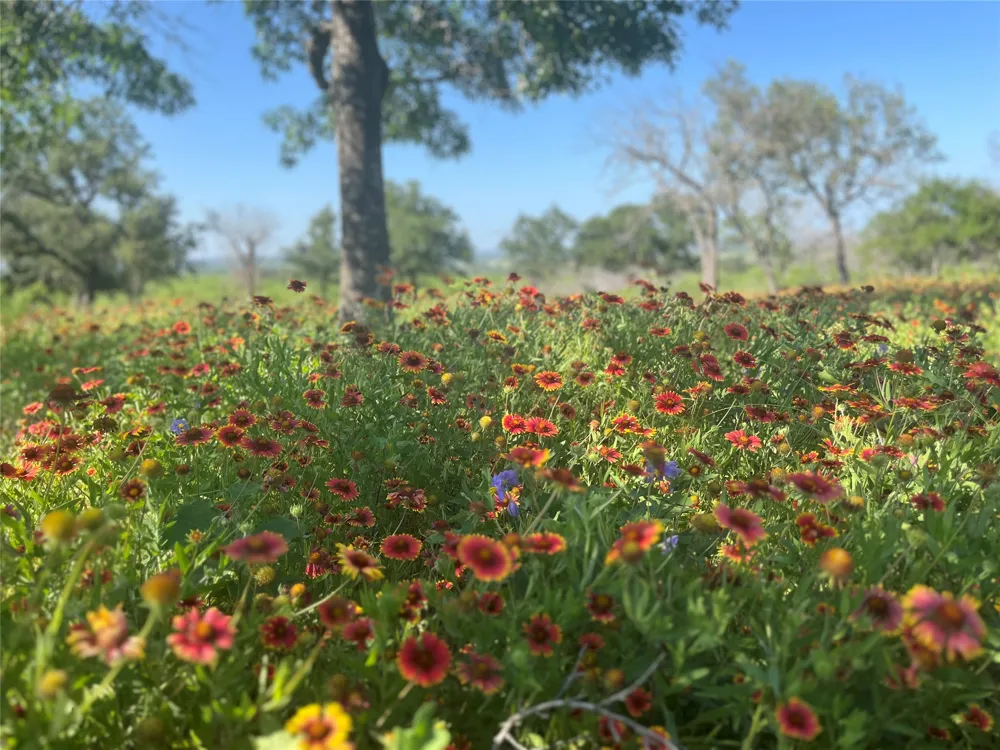 24 County Road 510 Goldthwaite, TX 76844