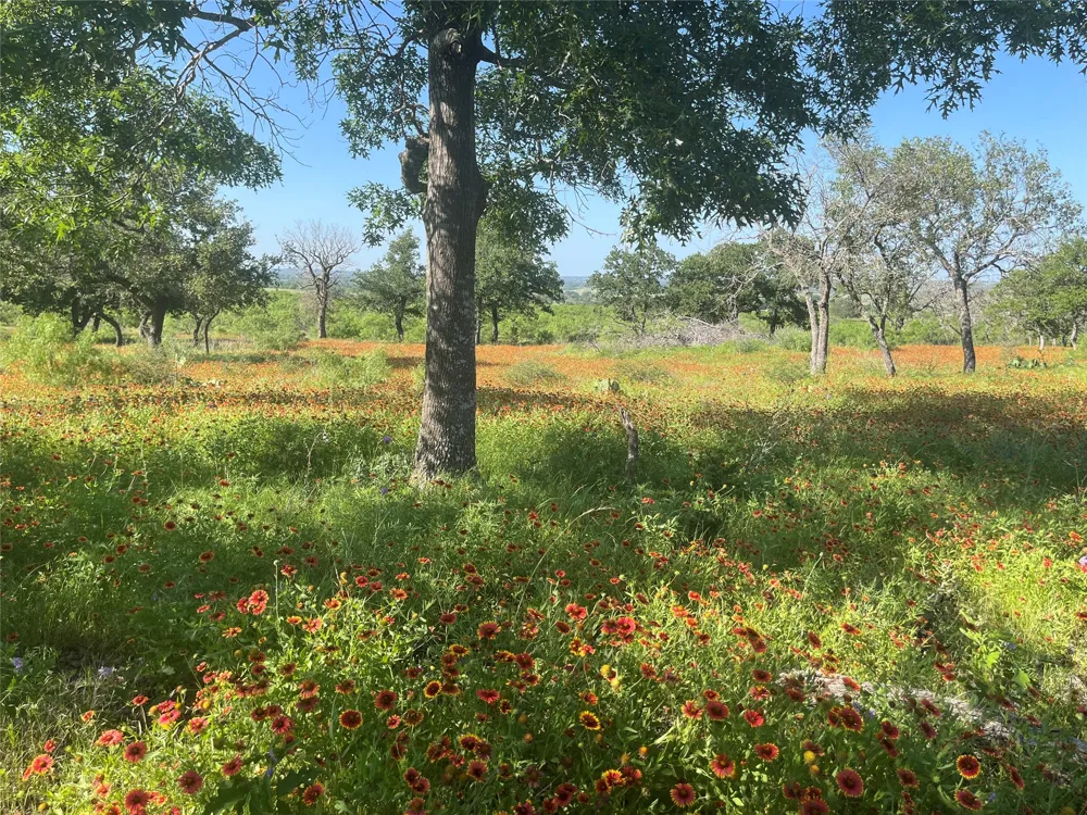 24 County Road 510 Goldthwaite, TX 76844