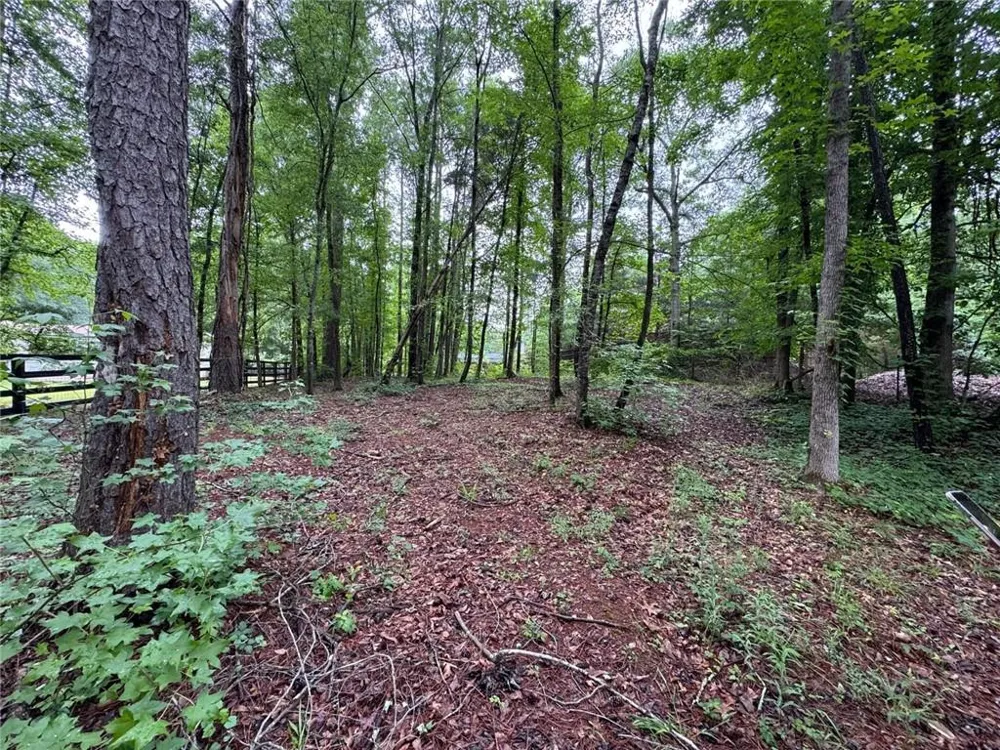 219 Lynn Road Bethlehem, GA 30620