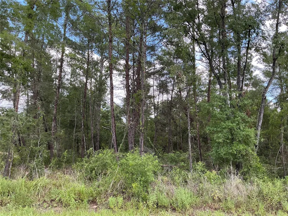 LOT 1 BAY COURT PASS Ocklawaha, FL 32179