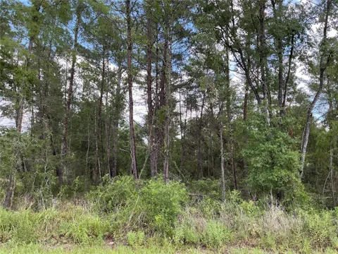 LOT 1 BAY COURT PASS