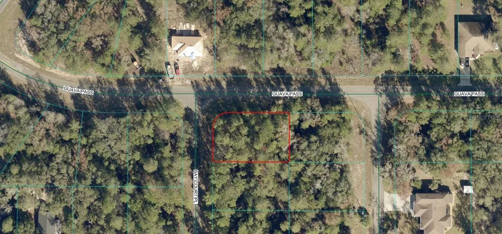 LOT 1 BAY COURT PASS Ocklawaha, FL 32179