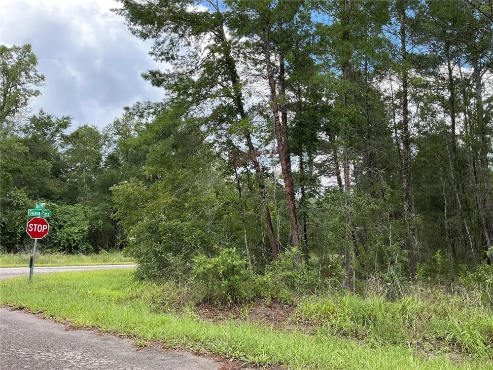 LOT 1 BAY COURT PASS Ocklawaha, FL 32179