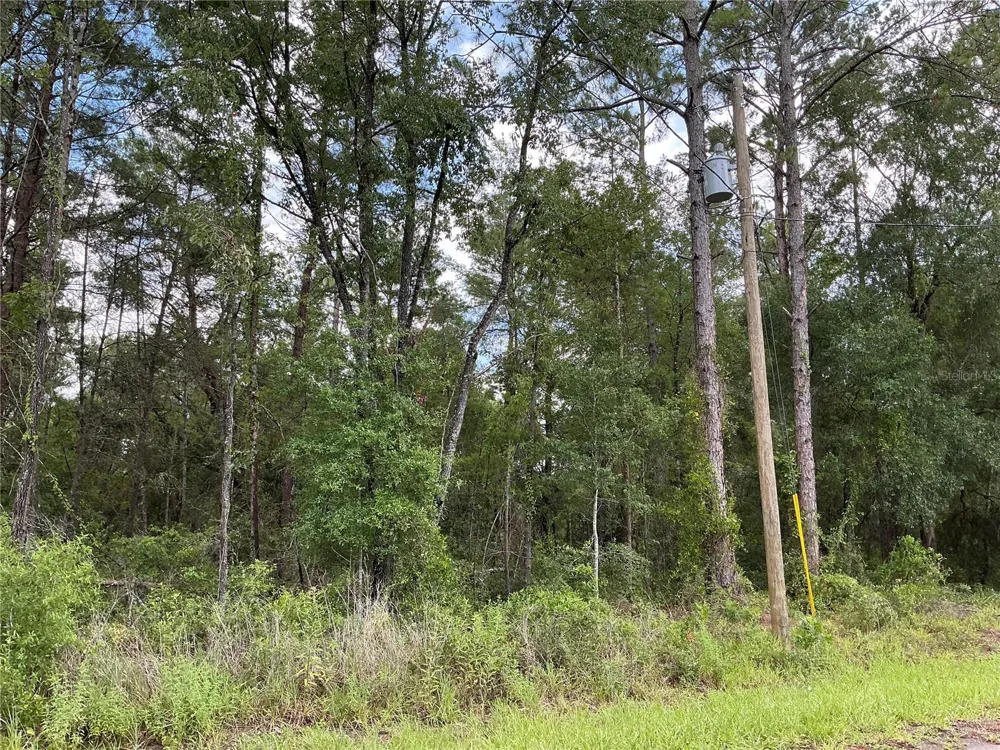 LOT 1 BAY COURT PASS Ocklawaha, FL 32179