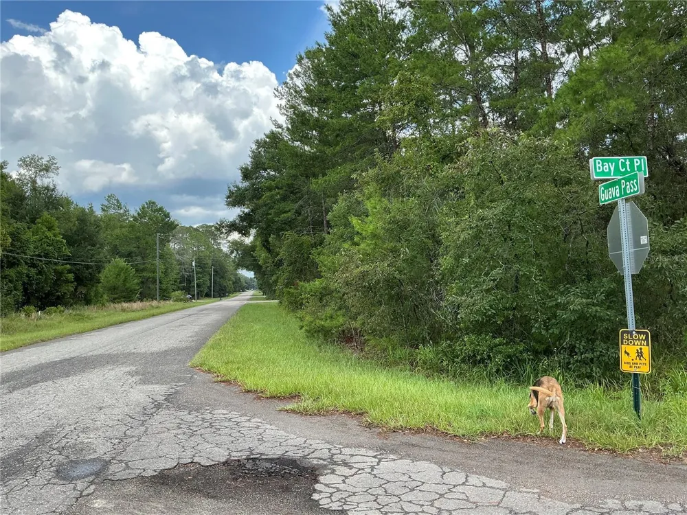 LOT 1 BAY COURT PASS Ocklawaha, FL 32179