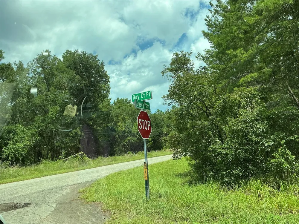 LOT 1 BAY COURT PASS Ocklawaha, FL 32179