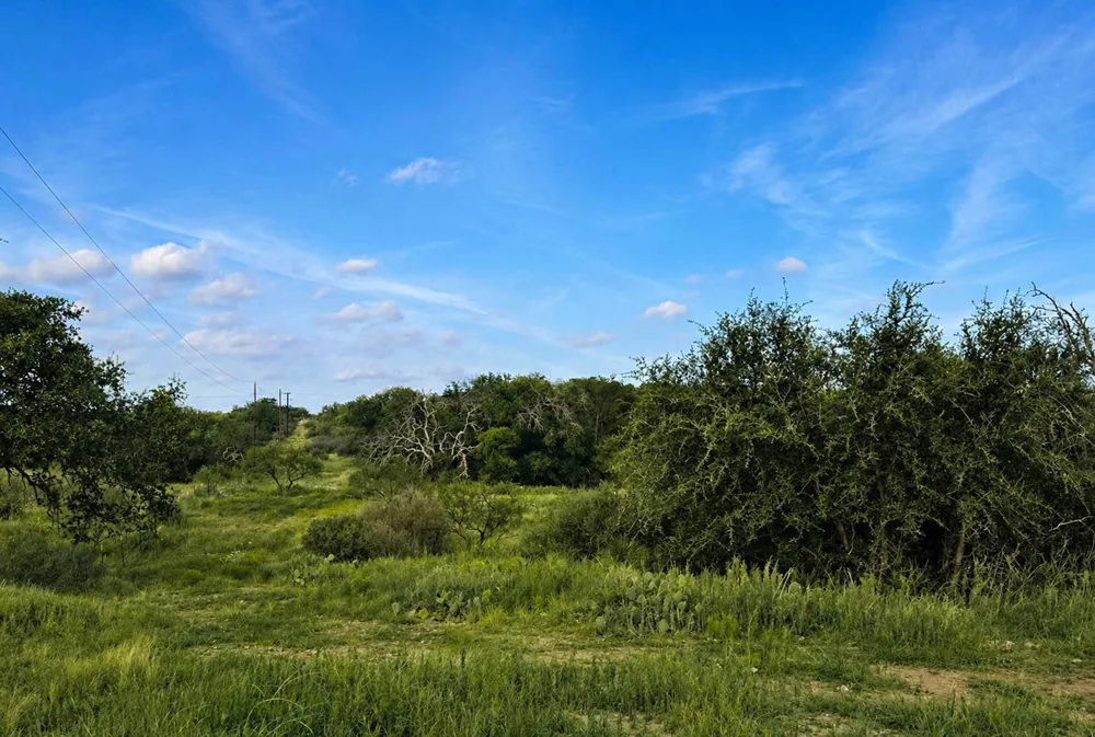 Address Not Shown 