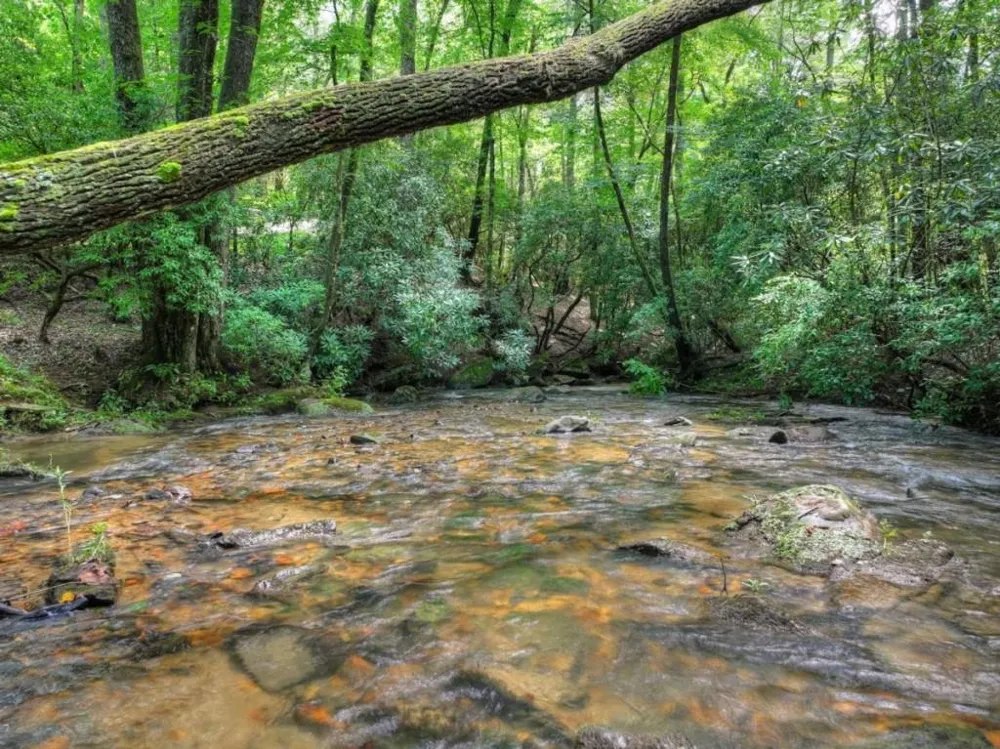 20 Bear Trail Ellijay, GA 30540