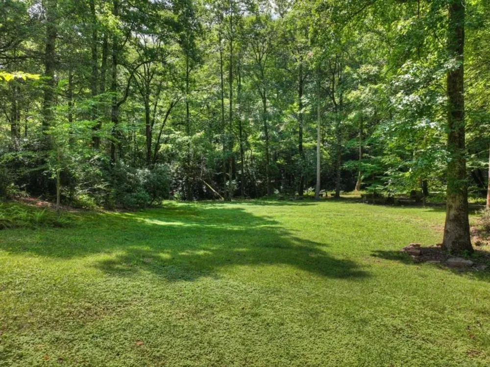 20 Bear Trail Ellijay, GA 30540