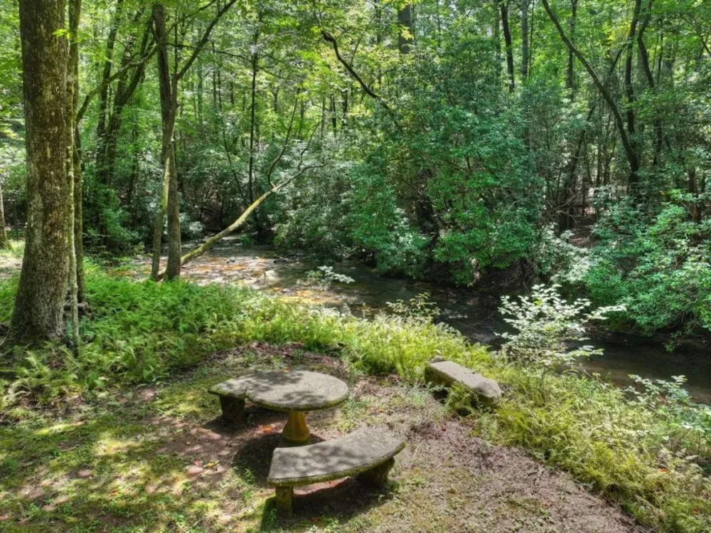 20 Bear Trail Ellijay, GA 30540