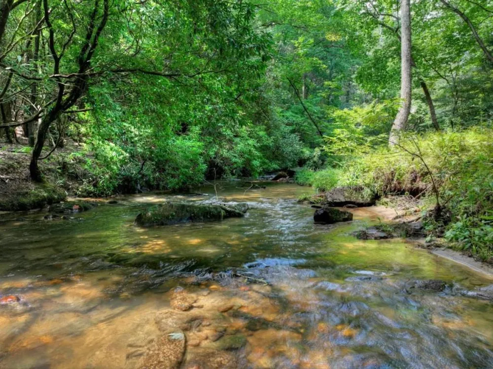20 Bear Trail Ellijay, GA 30540