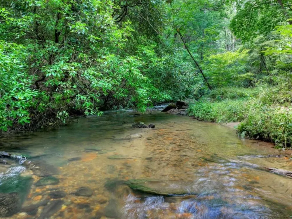 20 Bear Trail Ellijay, GA 30540