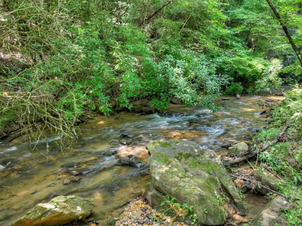 20 Bear Trail Ellijay, GA 30540