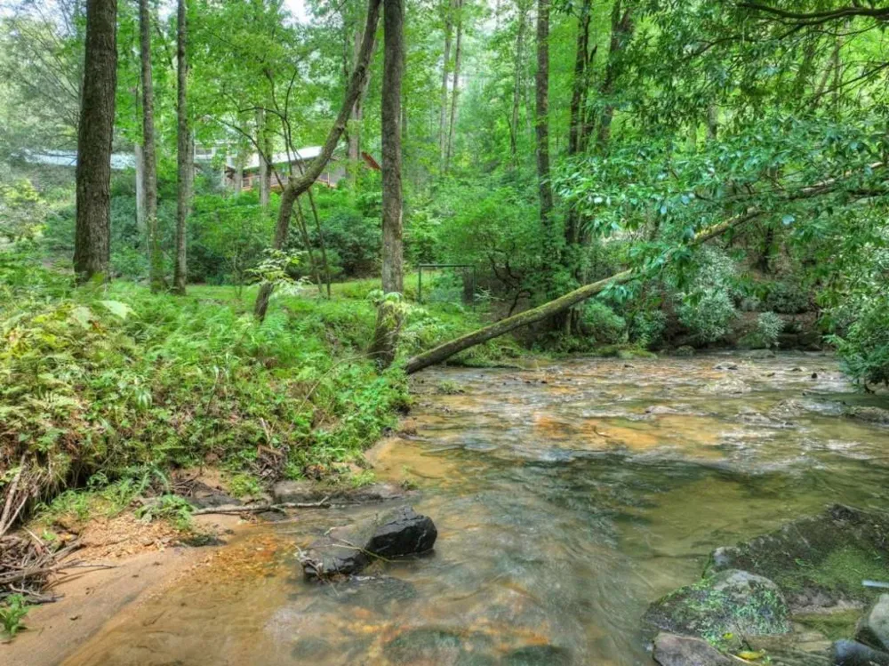 20 Bear Trail Ellijay, GA 30540