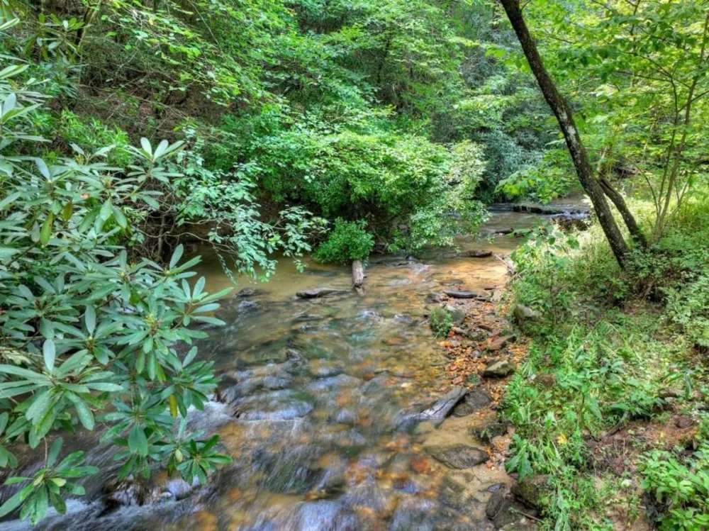 20 Bear Trail Ellijay, GA 30540