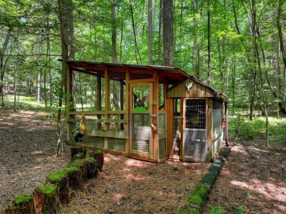 20 Bear Trail Ellijay, GA 30540