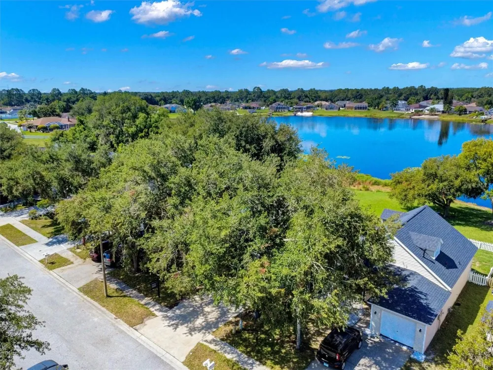 22817 SAINT THOMAS CIRCLE Lutz, FL 33549