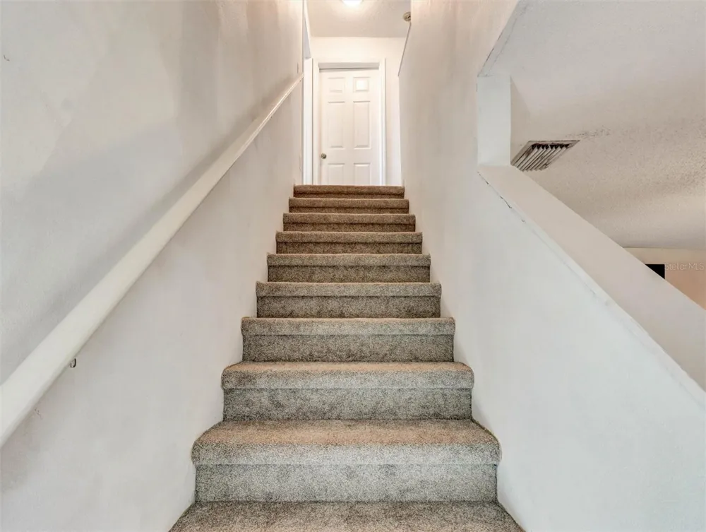 22817 SAINT THOMAS CIRCLE Lutz, FL 33549