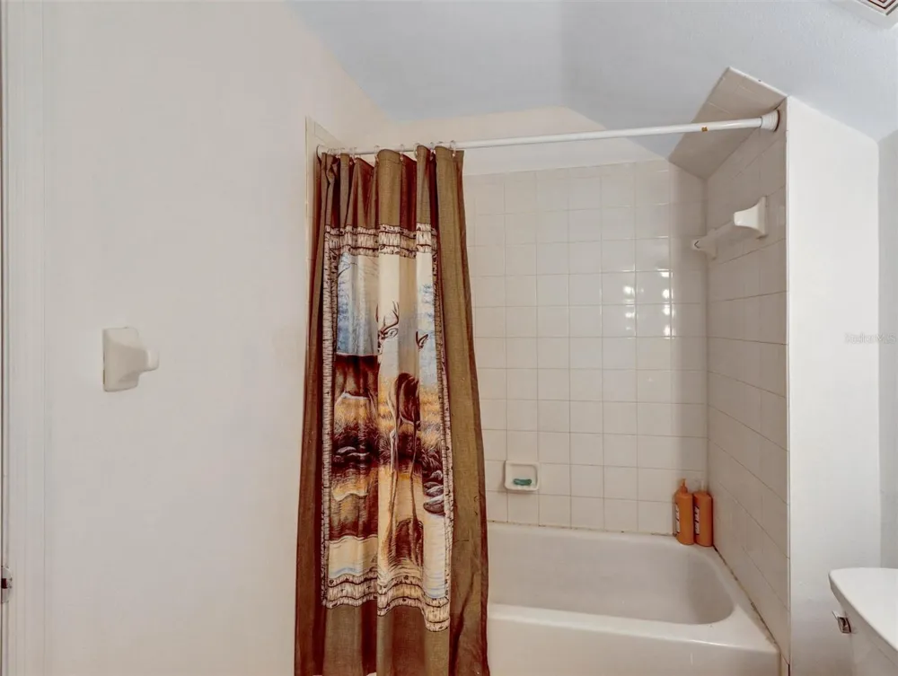 22817 SAINT THOMAS CIRCLE Lutz, FL 33549