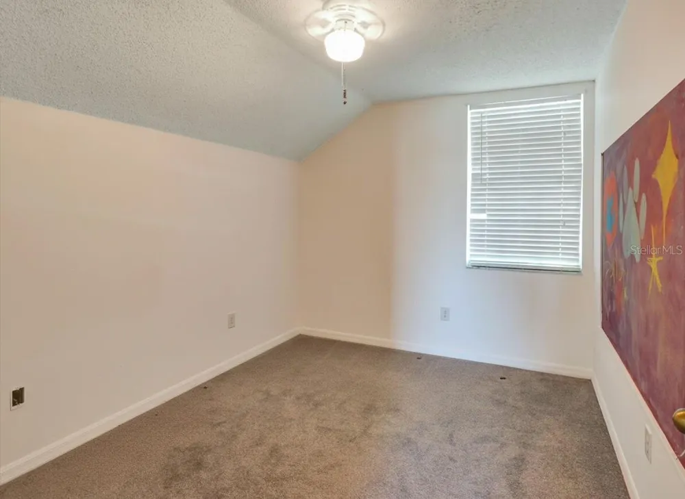 22817 SAINT THOMAS CIRCLE Lutz, FL 33549