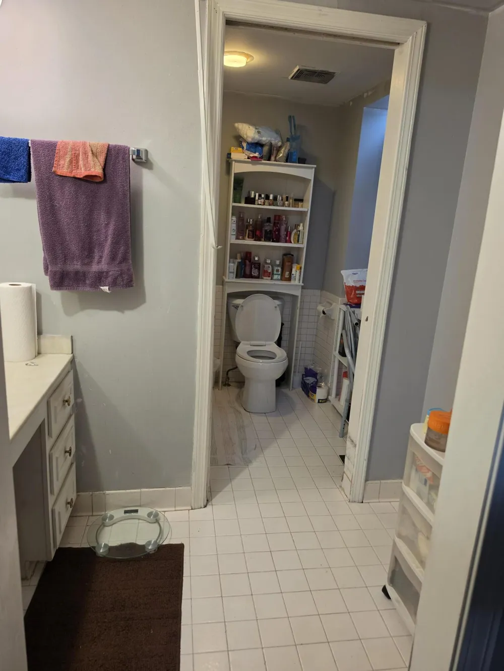 1827 Willowbrook Circle Flint, MI 48507
