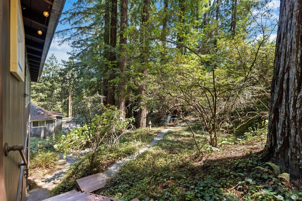 9202 Huckleberry Way Monte Rio, CA 95462