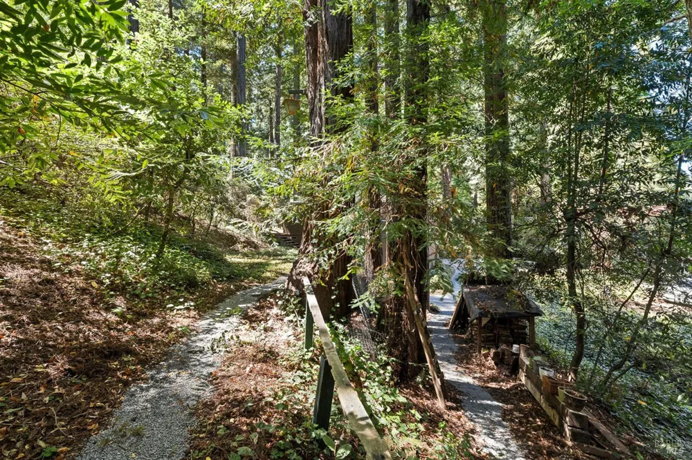 9202 Huckleberry Way Monte Rio, CA 95462