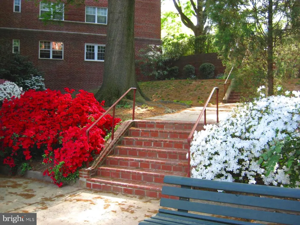 1311 ODE STREET #612 Arlington, VA 22209