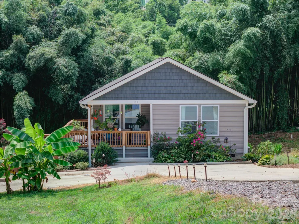 107 Forest Street Asheville, NC 28803