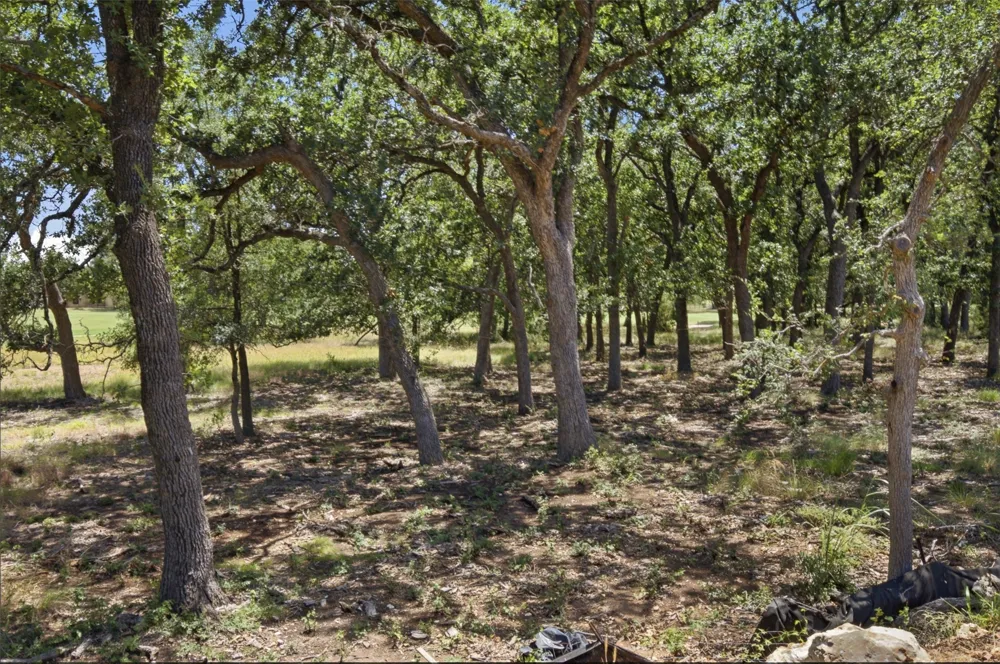 365 Joya Drive Liberty Hill, TX 78642