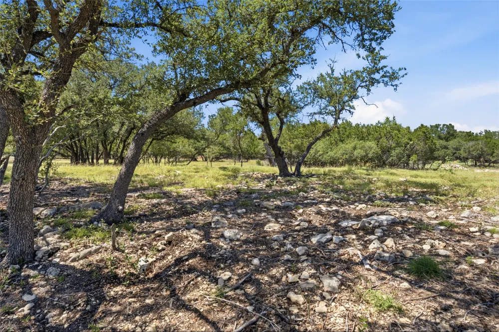 365 Joya Drive Liberty Hill, TX 78642
