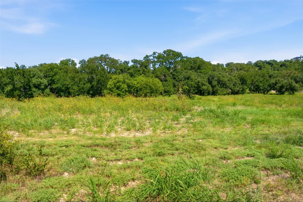 1300 Meadow Oak Crossing Georgetown, TX 78633
