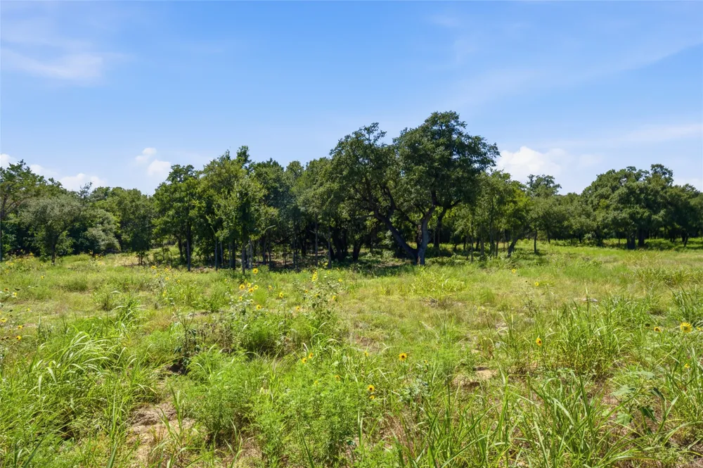 1313 Meadow Oak Crossing Georgetown, TX 78633