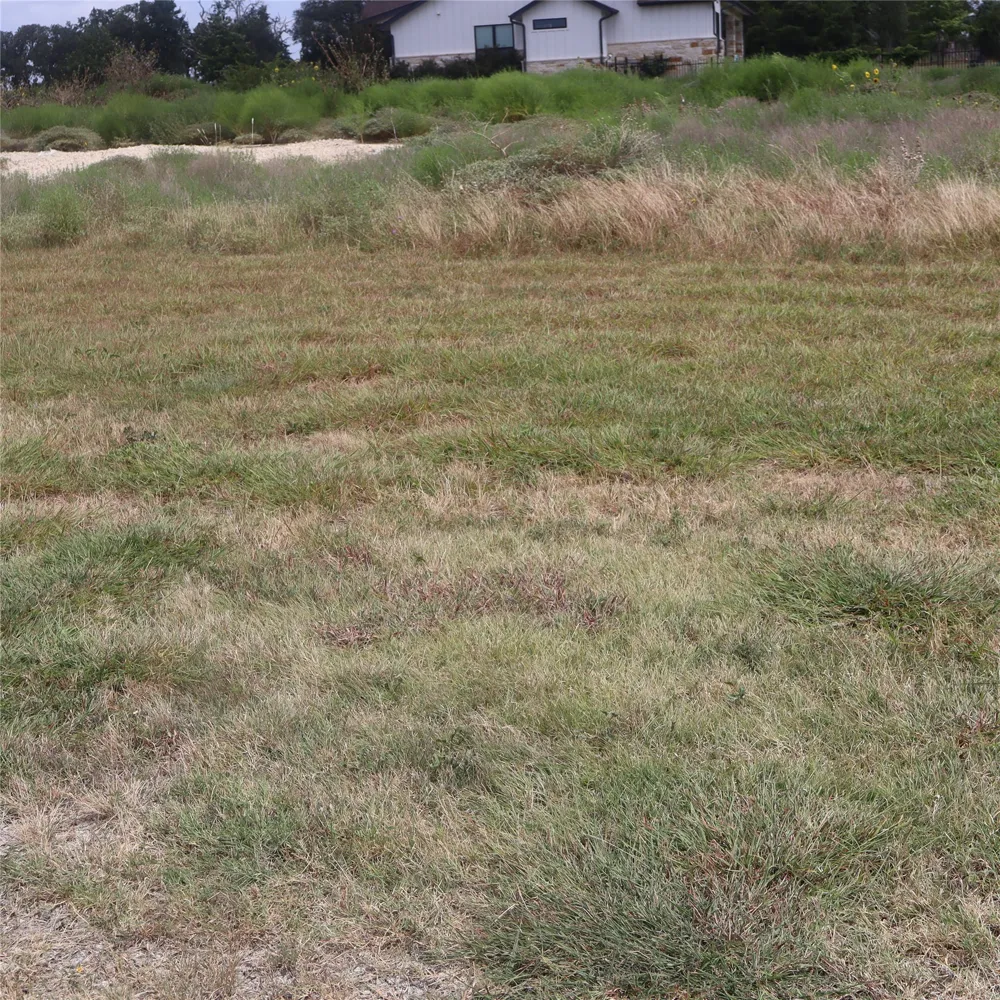 105 Huerta Road Florence, TX 76527