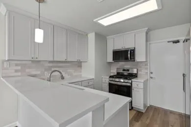 17411 Valentine Drive Round Rock, TX 78664