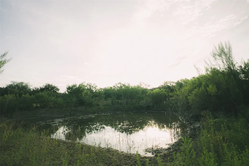 1790 County Road 402 Marble Falls, TX 78654