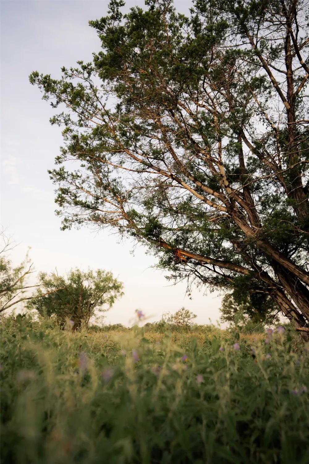 1790 County Road 402 Marble Falls, TX 78654