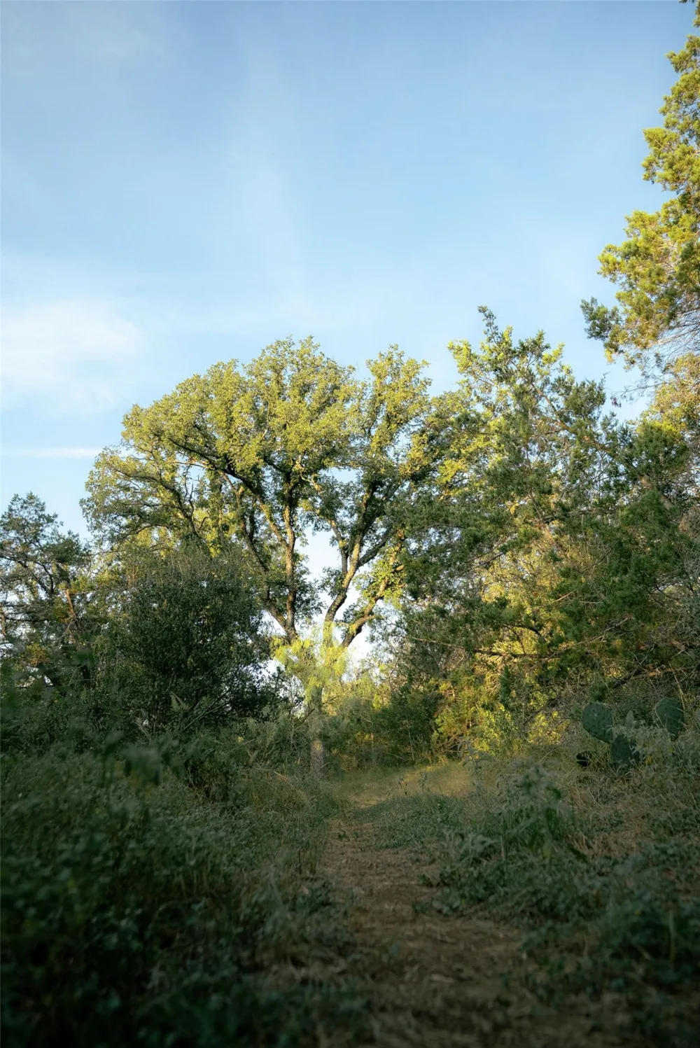 1790 County Road 402 Marble Falls, TX 78654