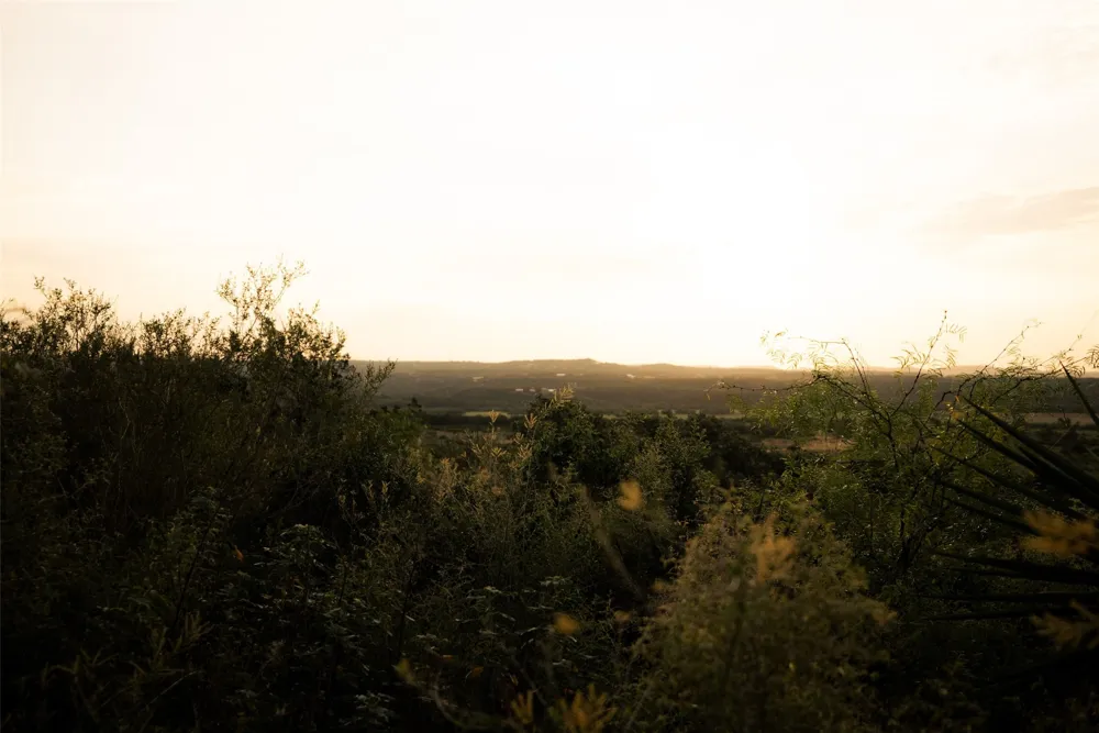 1790 County Road 402 Marble Falls, TX 78654